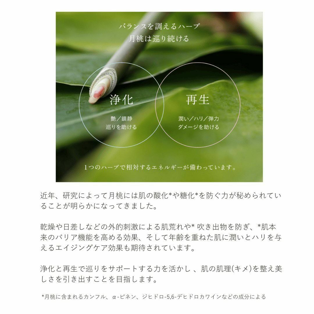 クリアスキンオイル100mL | MOON PEACH