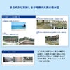 浜比嘉塩特徴